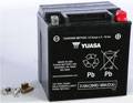 Yuasa - YIX30L-BS YUASA BATTERY