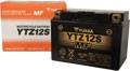 YTZ12S YUASA BATTERY